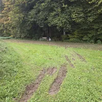 20241011_093018.jpg