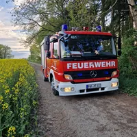 TSF-Sommer.jpg