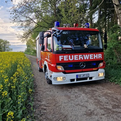 TSF-Sommer.jpg